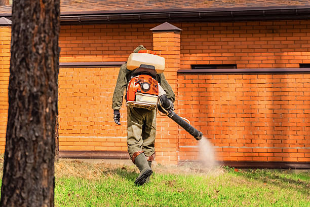 Trusted Bed Bug Control service in Duncan, OK - Nex Pest Control